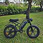 HappyRun G-50 Electric Bike Image
